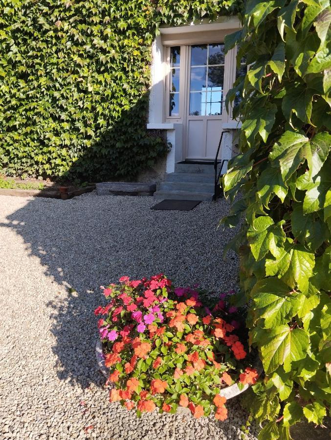 Maison Au Calme Avec Vue Etang Clesse  المظهر الخارجي الصورة