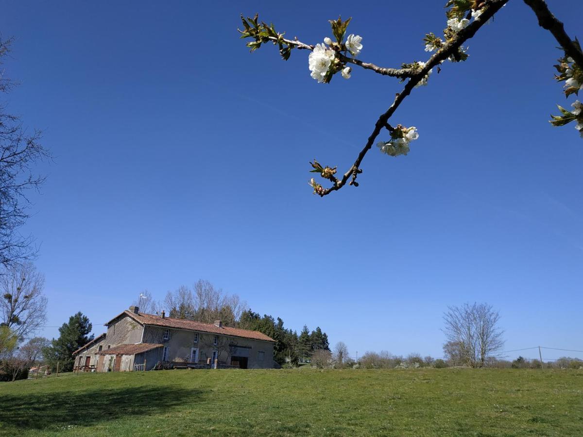 Maison Au Calme Avec Vue Etang Clesse  المظهر الخارجي الصورة