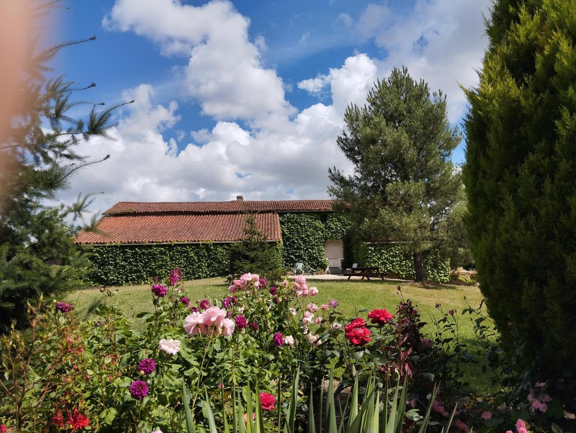 Maison Au Calme Avec Vue Etang Clesse  المظهر الخارجي الصورة