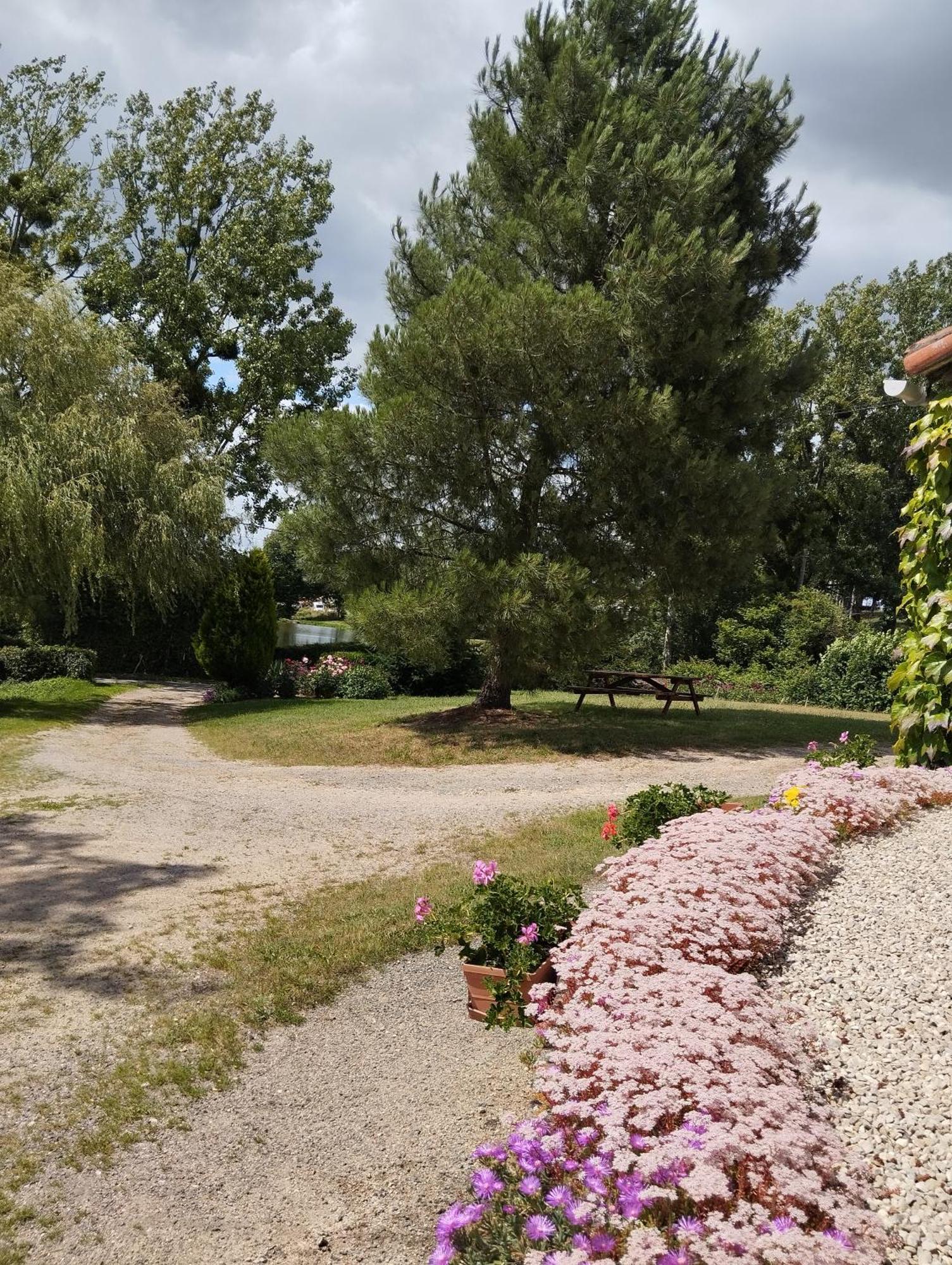 Maison Au Calme Avec Vue Etang Clesse  المظهر الخارجي الصورة